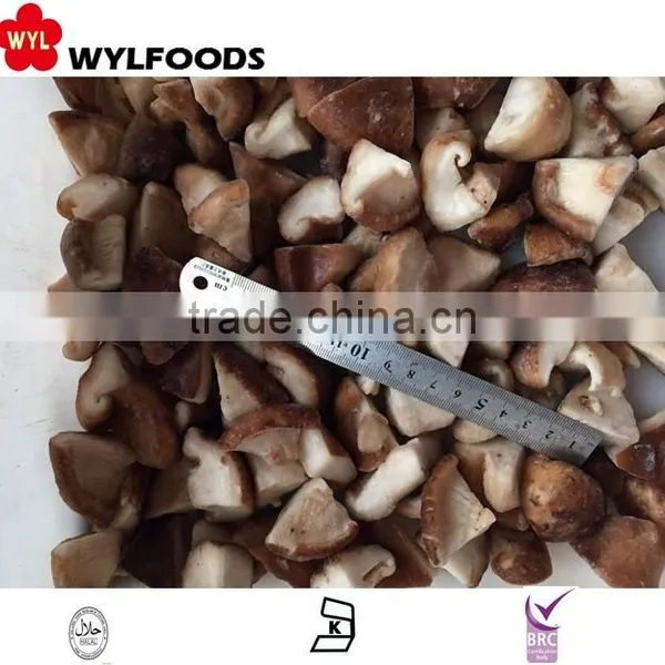 China Market Selling!Frozen IQF Shiitake Mushroom Export From China Good Prices Best Quality photo-2