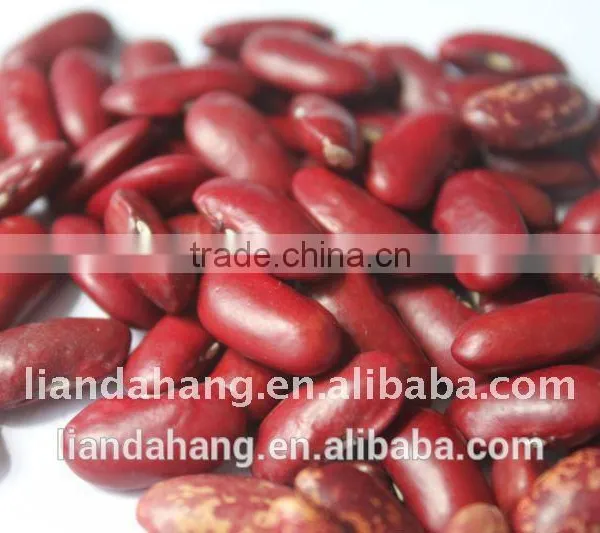 Premium Quality Green Mung Beans photo-6
