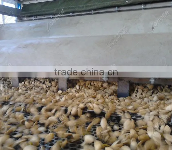 Automatic Melon Seed Sheller/Pumpkin Seeds Processing Machine Price photo-5