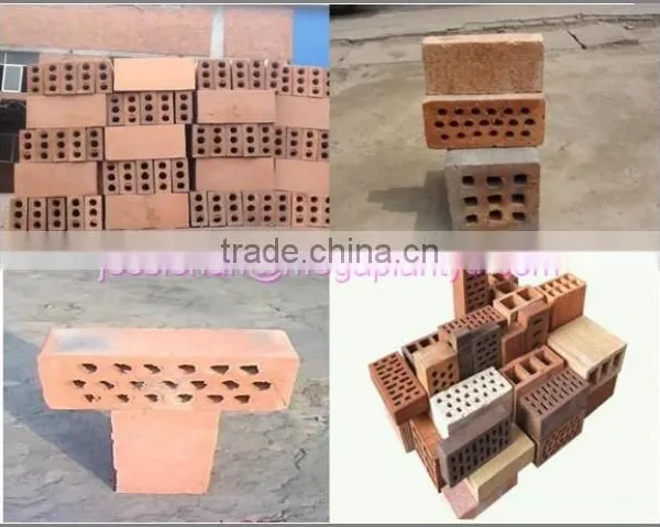 Malaysia Factory Price Semi-automatic Clay Brick Making Machine for Sale in India photo-2
