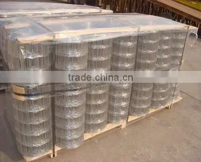 Galvanized Welded Wire Mesh Fence Panel photo-3