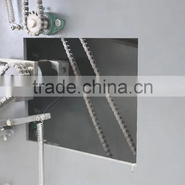 Fulll Automatic Vegetable Packing Machine for Holland or Finland Market photo-4