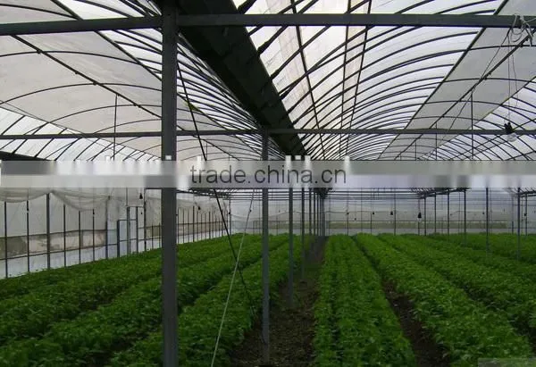 Multi-Span Agricultural Greenhouses Type and Film Cover Material photo-2