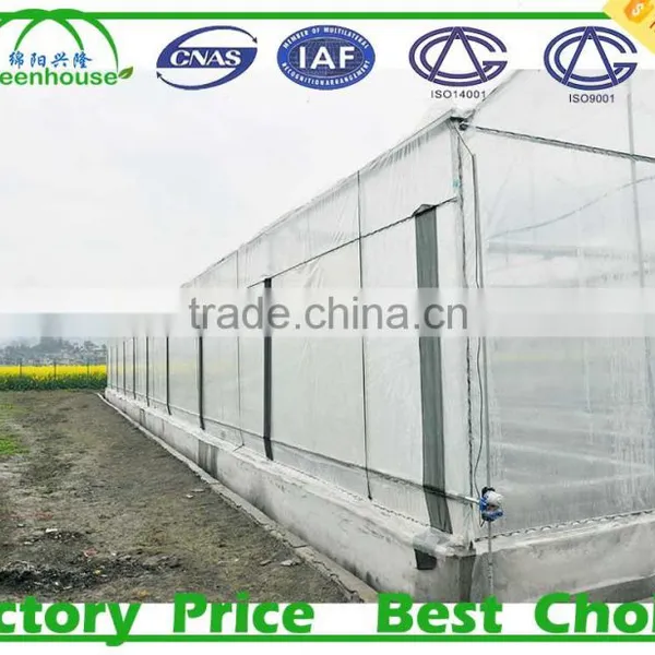 PC Sheet Greenhouses for Sale photo-5