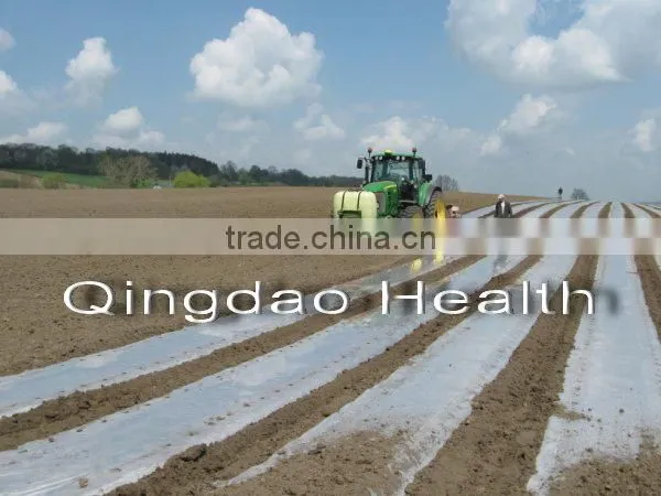 Agriculture Mulch Films ,perforated Clear Mulch Film (with 2 or 4 Holes) photo-4