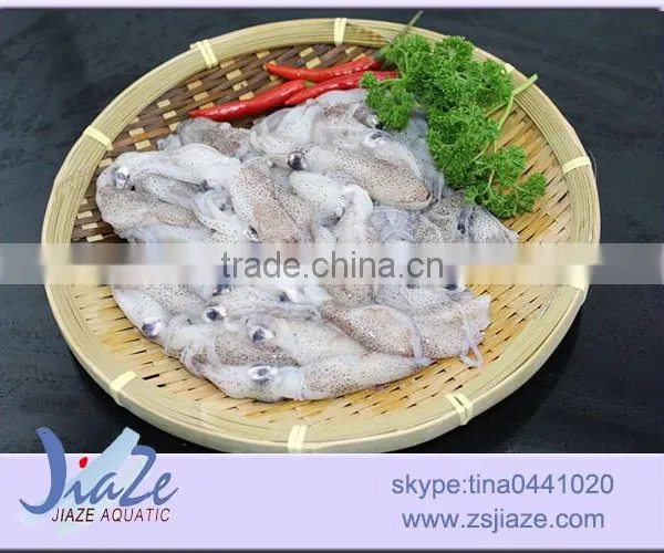 Zhoushan Sea Caught Frozen Baby Squid photo-2