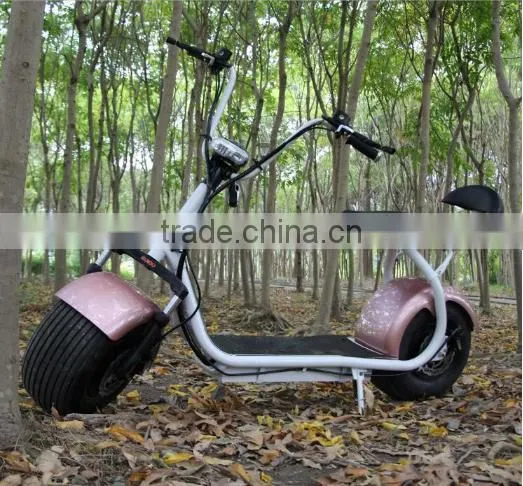 2017 Zhejiang Factory Electric Bike 48V Brushless Hub Motor 800w-1000W Electric Scooter Citycoco photo-2