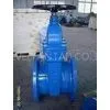 (ANSI) Cast Iron Gate Valve（NRS）