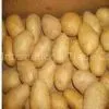 Potato