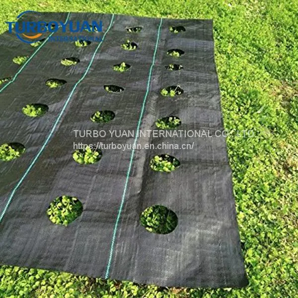 UV Resistant Anti Root Grass Control Fabric Cloth / PP or PE Weed Barrier Mat photo-5