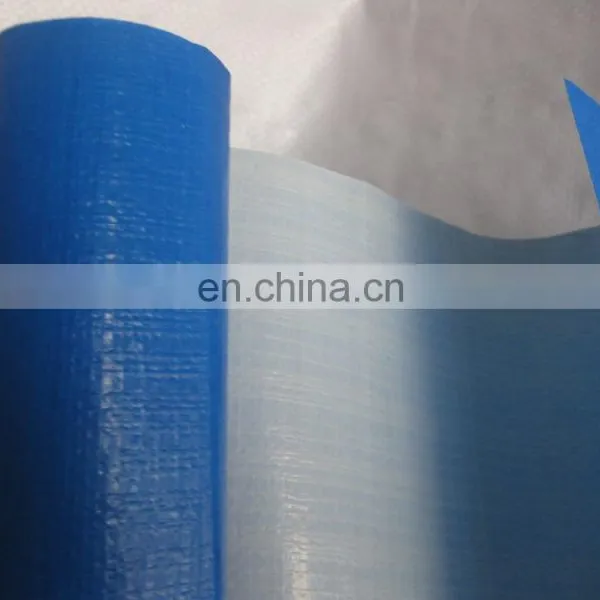 pe Tarpaulin Blue/silver Awning Tarpaulin in Roll photo-5