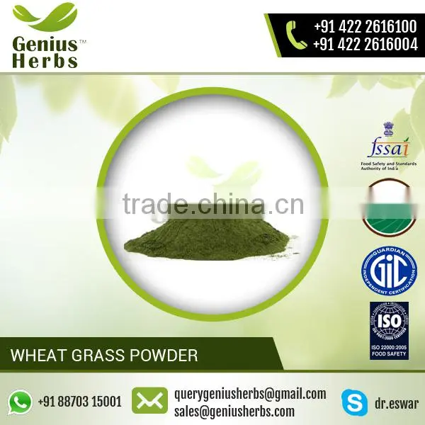100% Water Soluble Organic Green Wheat Grass Powder for Sale photo-5