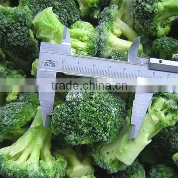 Iqf Frozen Vegetable Fresh Broccoli