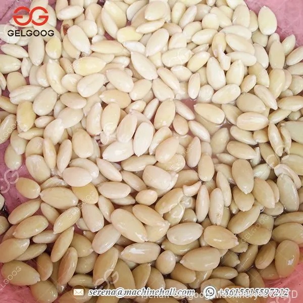 Almond Skin Peeler Machine 0.75kw Power Almond Skin Removing Machine photo-4