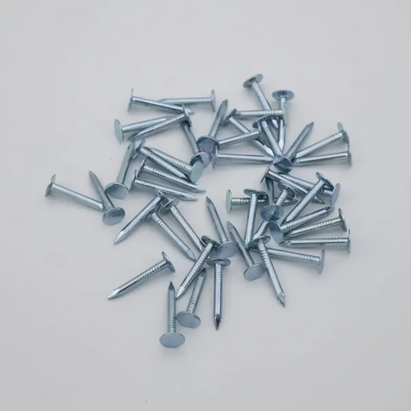 Galvanized Felt Nails With Large Head for Enhanced Grip and Tear Resistance photo-2