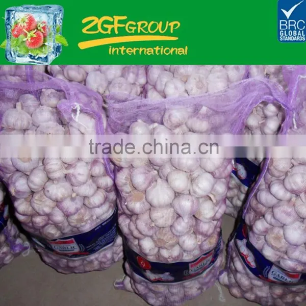 Pure White Garlic