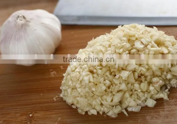 Electric High Output Garlic Grinding Machine photo-5