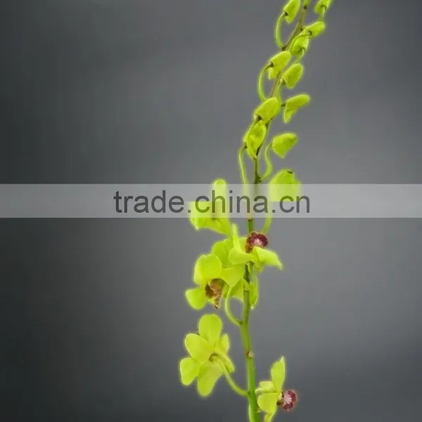 Super Quality Hot Sale Mini Wholesale Violet Orchid Cattleya photo-3