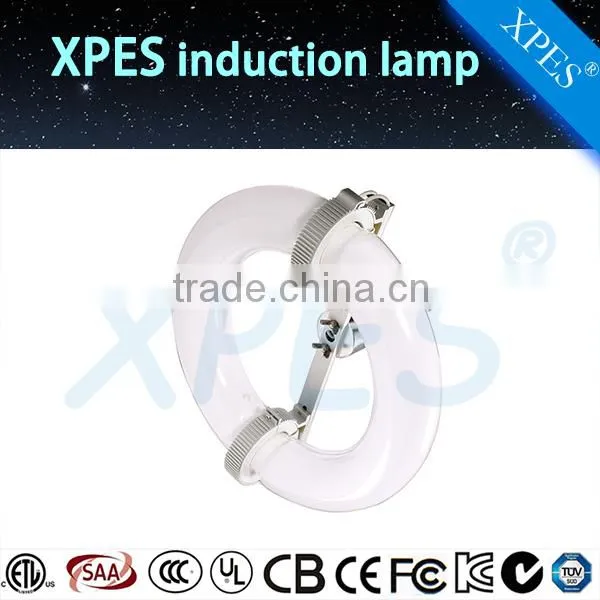 High Efficiency Good Price Induction Lamps From 80watt to 400watt photo-4