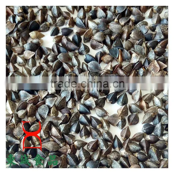 Buckwheat Common Cultivation Type Brown Color photo-2
