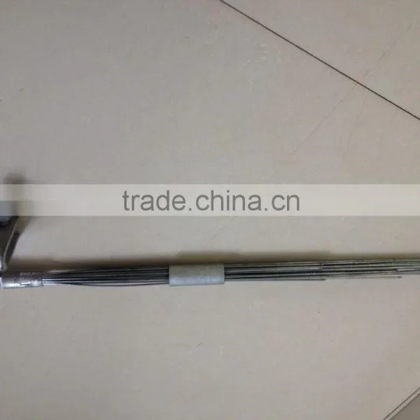 Bird Thorn photo-3