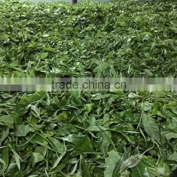 Vietnam Healthy Detox Green Tea
