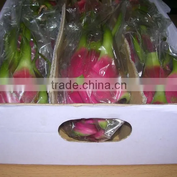 Fresh Dragon Fruit (dragon Fruit)