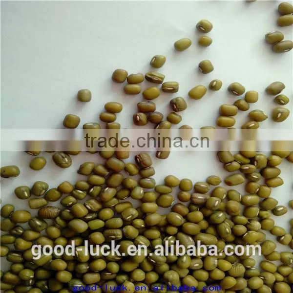 2011 New Crop Mung Bean photo-2