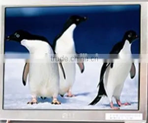 Price 5 Inch Lcd Monitor for Car Monitor photo-3