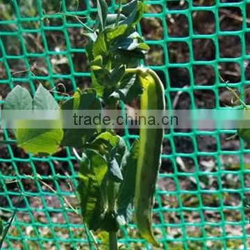 PP PE Extruded Mesh photo-2