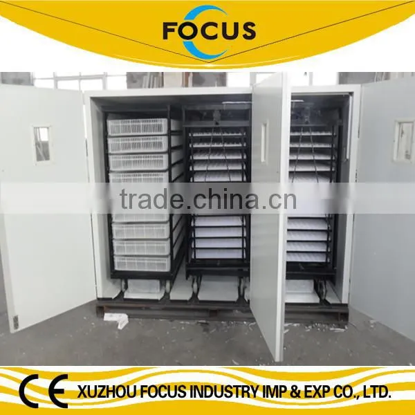 16000 eggs setting incubators