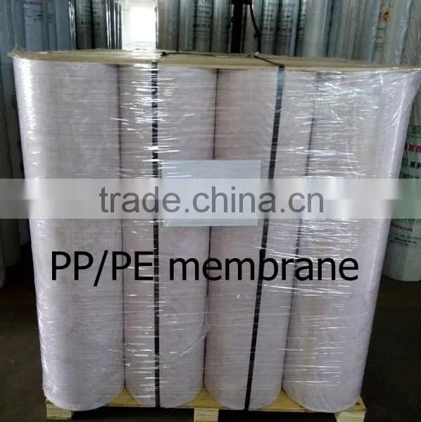 Factory: PP/PE Waterproof Fabric, Polythene and Polypropylene Polymer Compound Waterproof Membrane photo-6