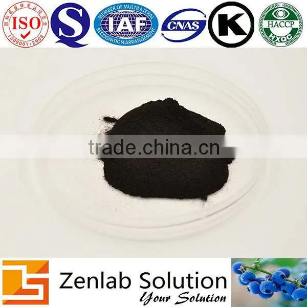 Europe Bilberry Extract, Bilberry P.e photo-2