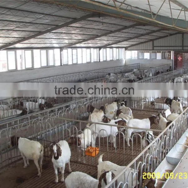 Prefabricated Steel Structure Warehouse With ISO9001 Certify photo-5