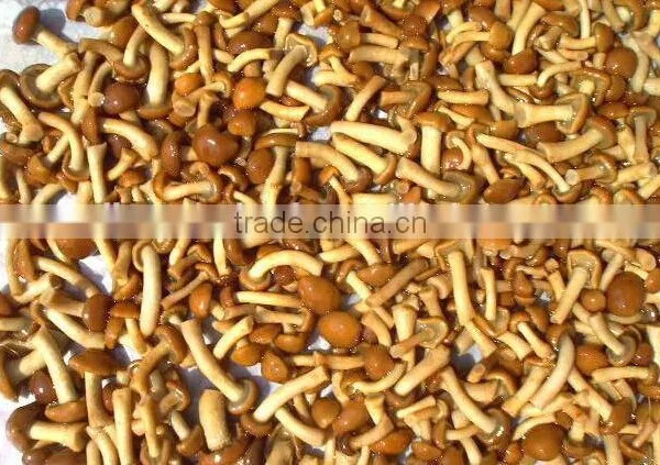 Pickled Nameko