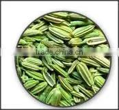 Fennel Seeds