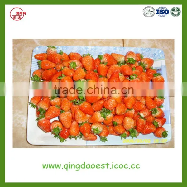 LiaoNing Province 2016 New Crop Fresh Strawberry for Sale photo-2