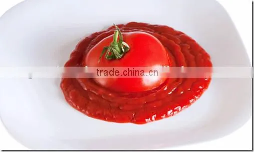 Bulk Tomato Paste Tomato Sauce Manufacturer From China