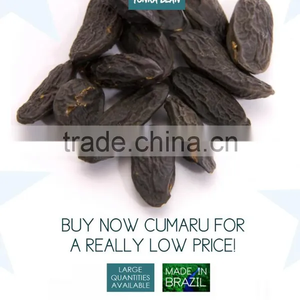 TONKA BEAN (ON SALE!) photo-2