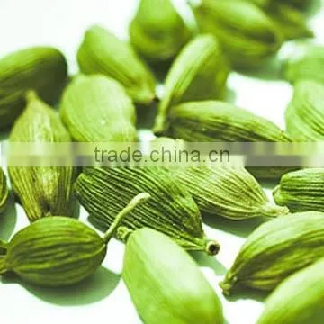 Cardamom