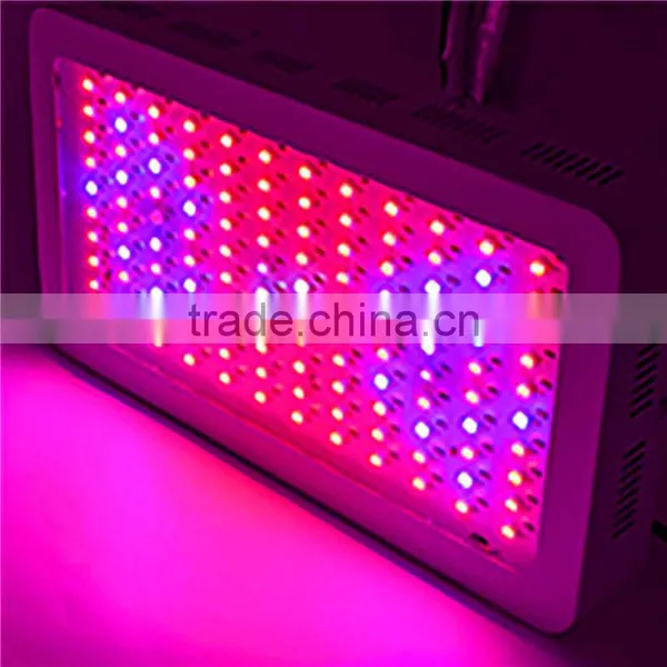 High Power 100X3W LED Grow Lights for Hydroponic Plants photo-4