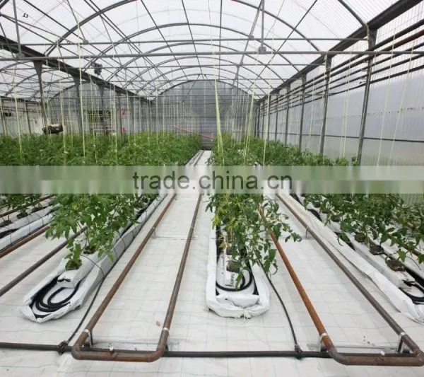 Poly Tunnel Agricultural Greenhouse photo-2