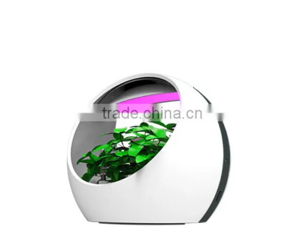 Natural Purification Colorful Intelligent Desktop Growing System