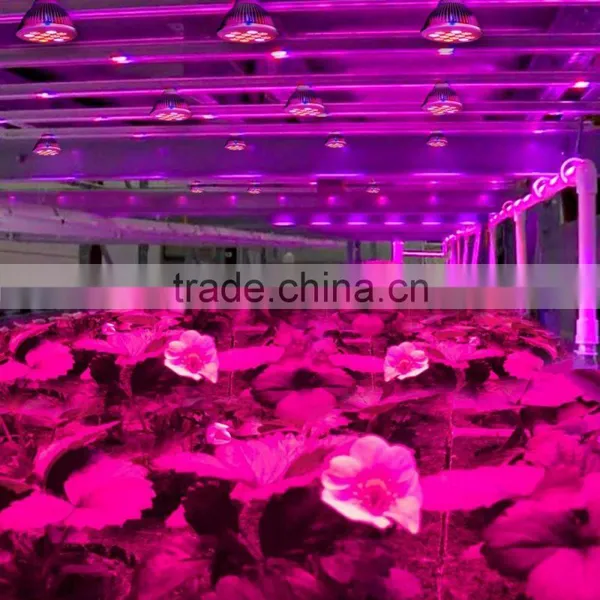 Hot Sales in USA Europe 36w 24w 12w E27 Led Garden Light PAR38 Led Grow Light photo-5