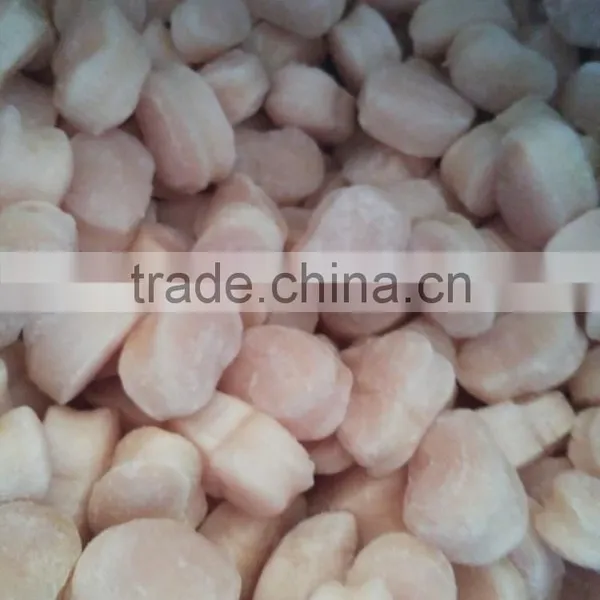 Wholesale Frozen Fresh Pen Shell Scallop in Season