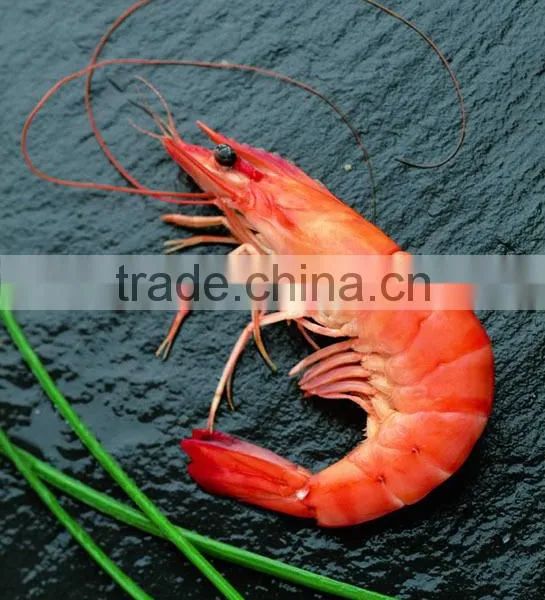 Black Tiger Prawn photo-5