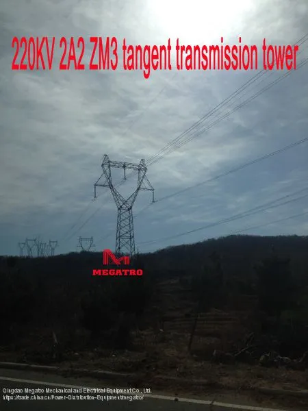 MEGATRO 220KV 2A2 ZM3 Tangent Transmission Tower photo-4