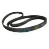 Ribbed Belt