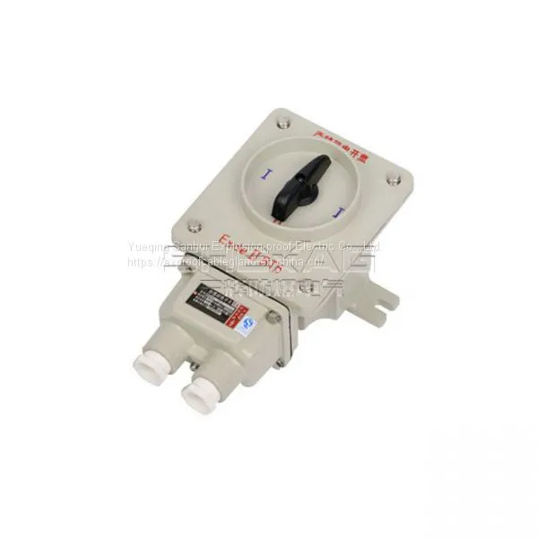 Explosion-proof Control Box (transfer Switch II B,II C) SH-KZX