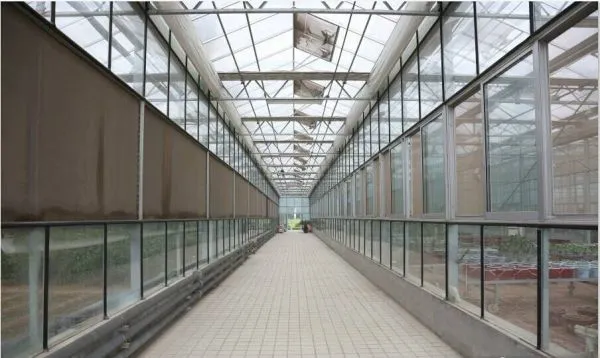 Agricultural Glass Greenhouse for Planting/Hydroponic Planting photo-4